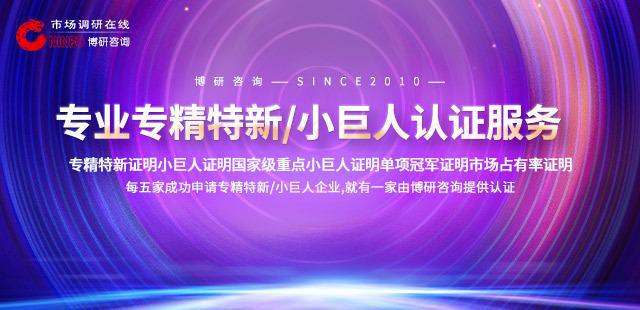 2024-2030全球及中国3A大型游戏行业研究及十五五规划分析报告