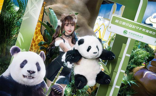贪玩游戏2024 CICF×AGF迈向多元化的蜕变启航之路(图6)