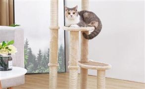 电竞行业发展现状 电竞行业发展趋势预测(图3)