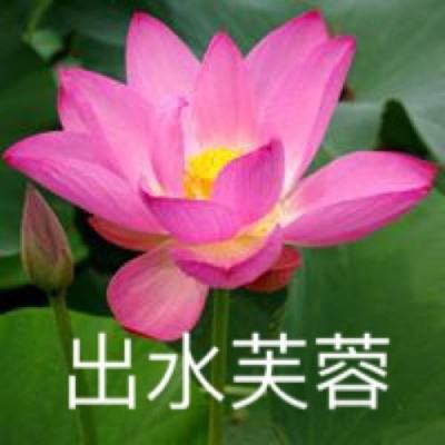 欢迎来到2023年澳门最准四不像