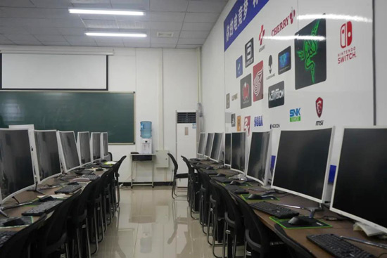 中国电子竞技行业现状观察及投资前景展望报告2024-2030年