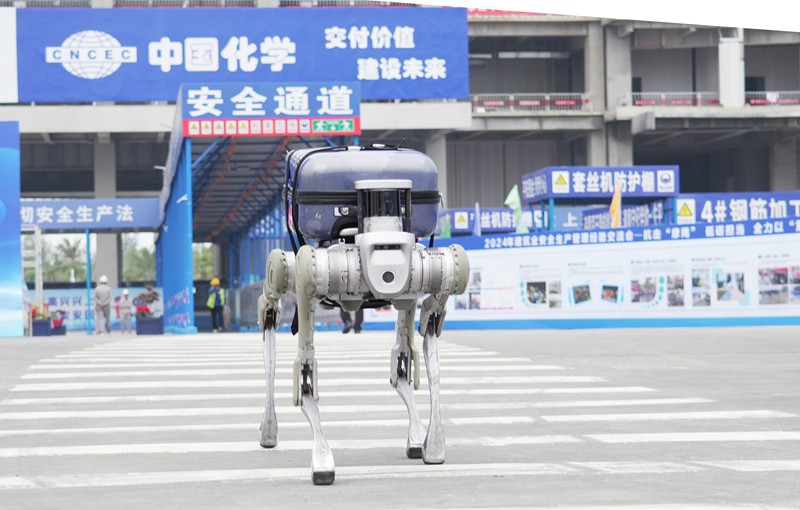 “機器狗”跑進建筑工地 海南“數字工程”平台引專業人士關注(图2)