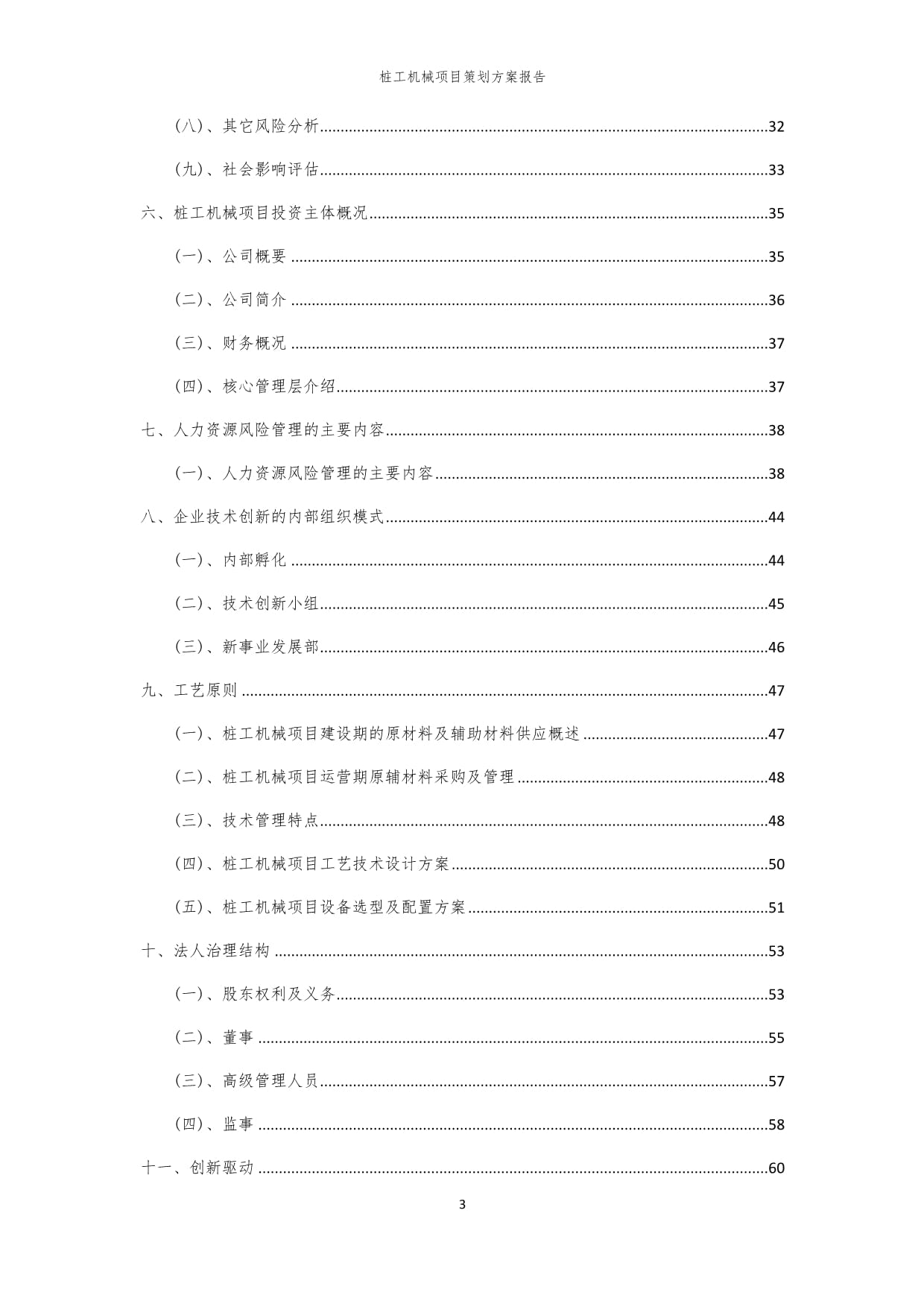 2024年桩工机械项目申请报告模版docx