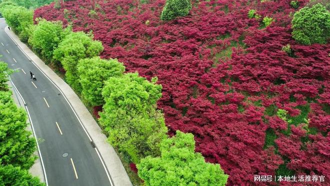 贵州自驾游推荐 天河潭的绝美打卡地(图2)
