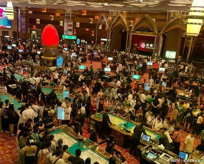 坐36亿飞机戴1000万名表秦奋背景引关注(图11)