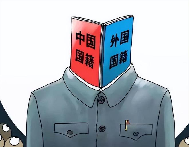 国籍严查打响第一枪！华人被拦机场“双面人”中国坚决不要！(图16)